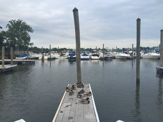 Columbia Island Marina
